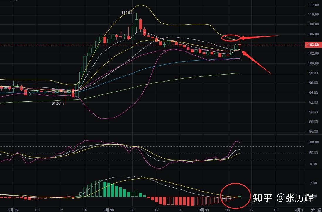 莱特币今日价格(莱特币价格今日价格)